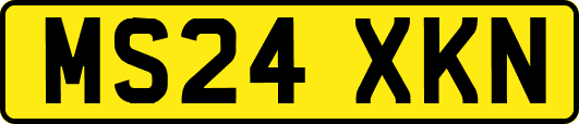 MS24XKN