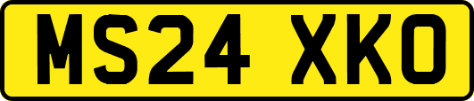 MS24XKO