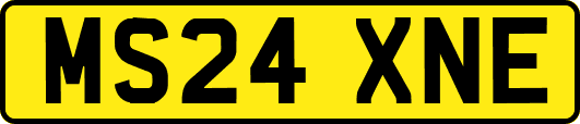 MS24XNE