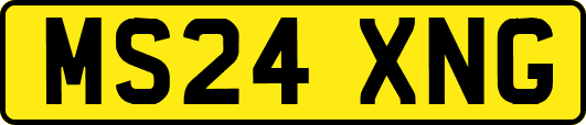MS24XNG