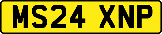 MS24XNP