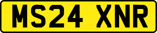 MS24XNR