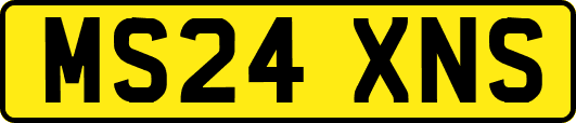 MS24XNS