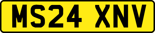MS24XNV