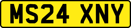 MS24XNY