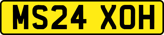 MS24XOH