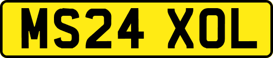 MS24XOL