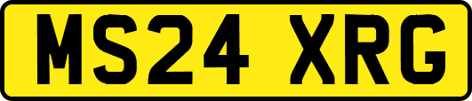 MS24XRG