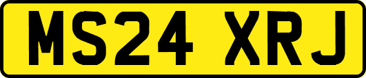 MS24XRJ