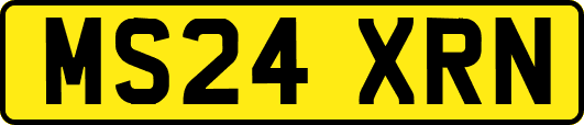 MS24XRN