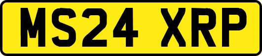 MS24XRP