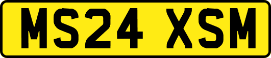MS24XSM