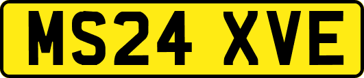 MS24XVE