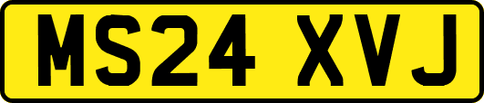 MS24XVJ