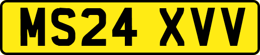 MS24XVV