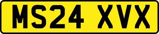 MS24XVX