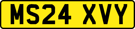 MS24XVY