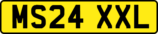 MS24XXL