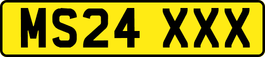 MS24XXX
