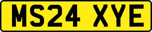 MS24XYE