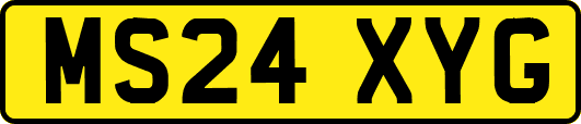 MS24XYG