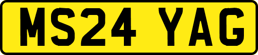 MS24YAG