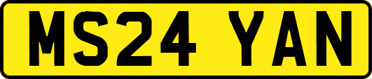 MS24YAN