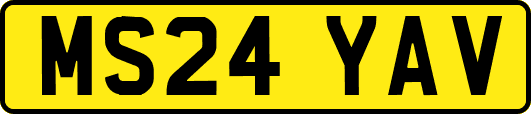 MS24YAV