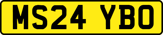 MS24YBO
