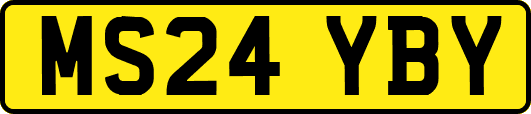 MS24YBY