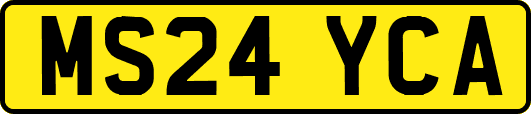 MS24YCA