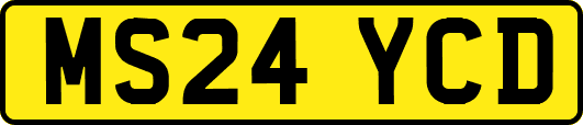MS24YCD
