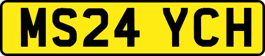 MS24YCH