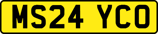 MS24YCO