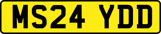 MS24YDD