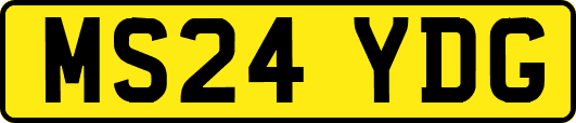 MS24YDG