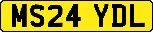 MS24YDL