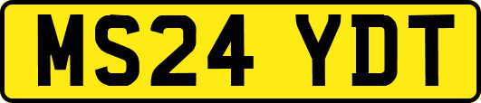 MS24YDT
