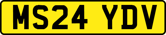 MS24YDV