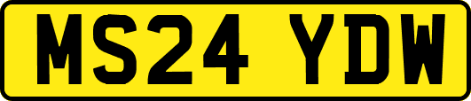 MS24YDW