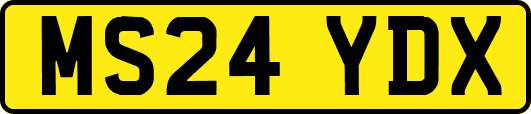MS24YDX