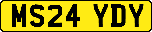 MS24YDY