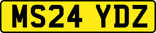 MS24YDZ