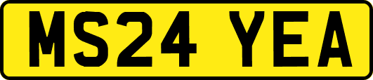 MS24YEA