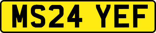 MS24YEF