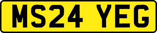MS24YEG