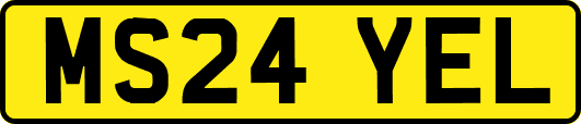 MS24YEL