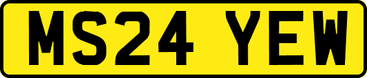 MS24YEW