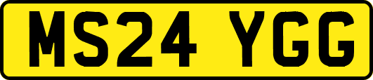 MS24YGG
