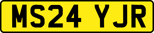 MS24YJR